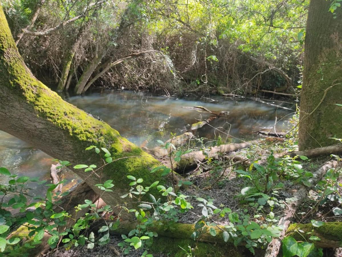 Herdade Da Maceira Villa Sao Luis Bagian luar foto