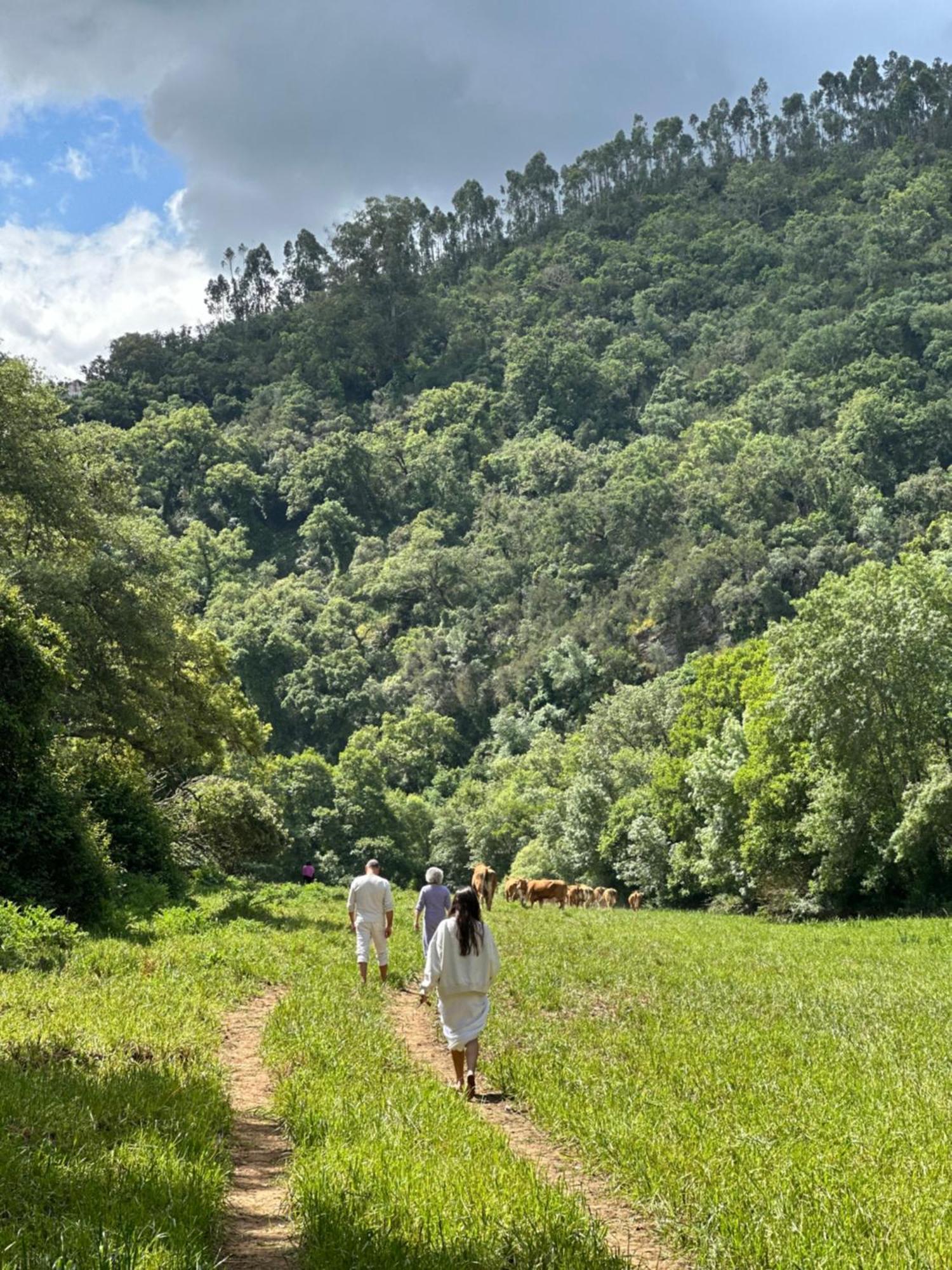 Herdade Da Maceira Villa Sao Luis Bagian luar foto