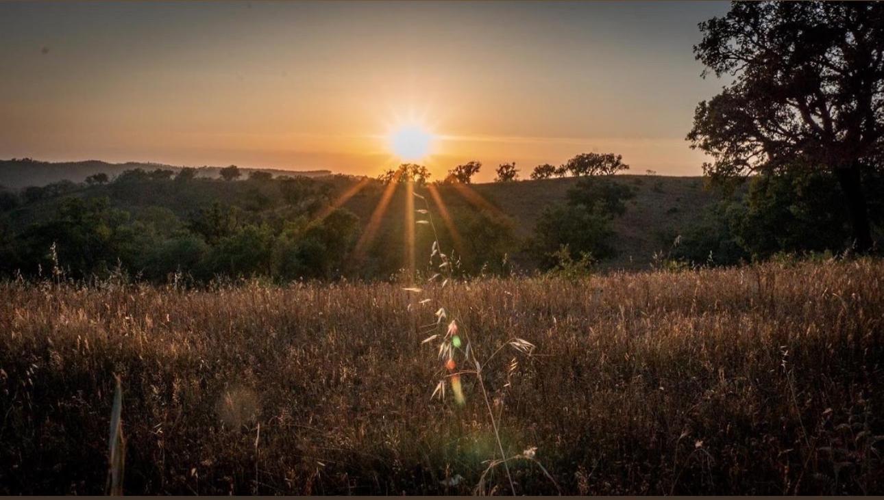 Herdade Da Maceira Villa Sao Luis Bagian luar foto